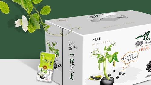 即食豆干包装设计 广州专业公司的创新与实践
